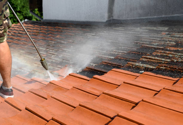 Best Deck Cleaning Services  in Bernice, LA